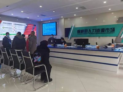 桐梓縣 以專業咨詢服務為引擎，筑牢“穩就業”“保就業”基石，驅動經濟社會高質量發展
